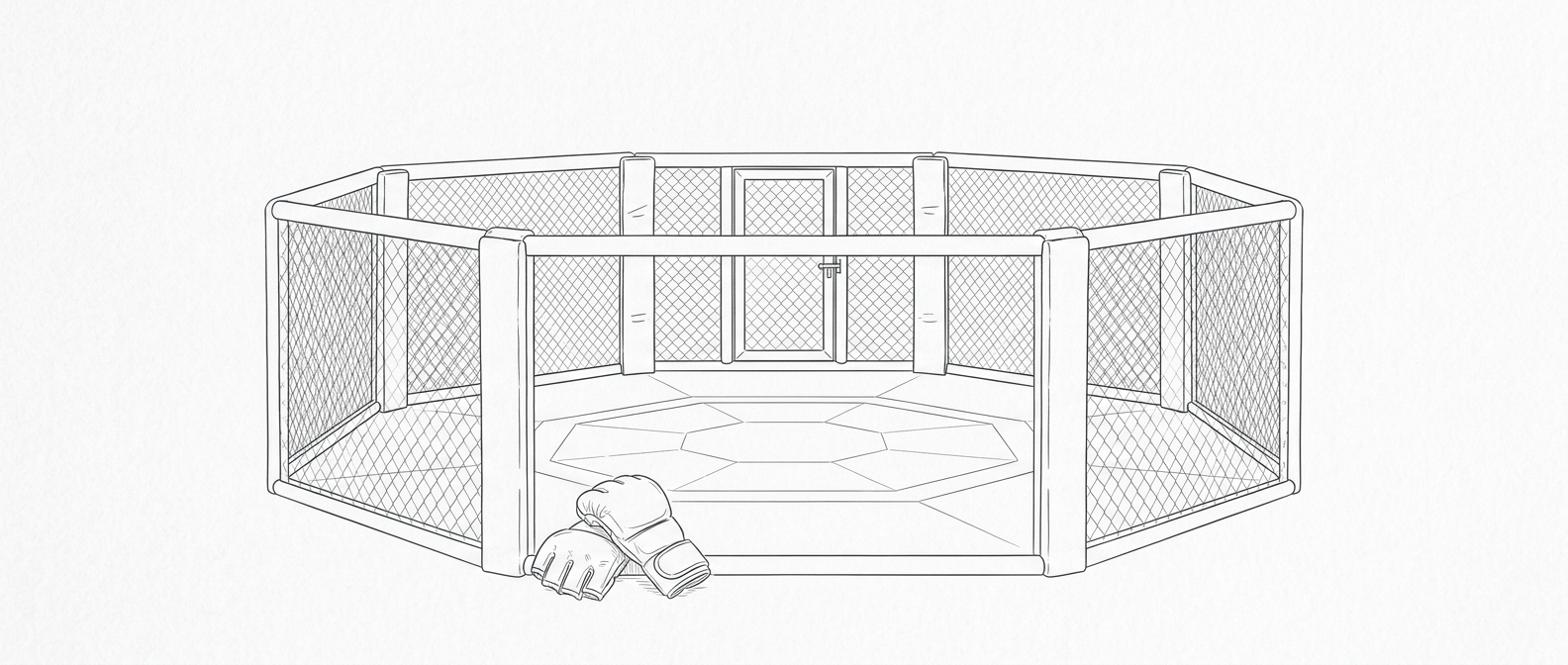 MMA octagon drawing